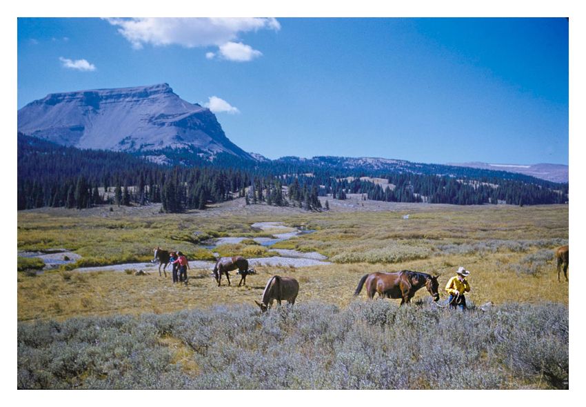 A Pack Trip In Wyoming By Toni Frissell Oversize Archival Pigment Print Framed In Brown photo furniture