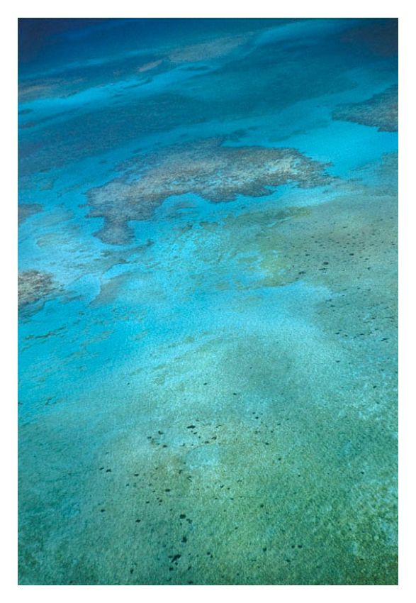 A Seaview In Nassau By Toni Frissell Oversize Archival Pigment Print Framed In Brown photo furniture