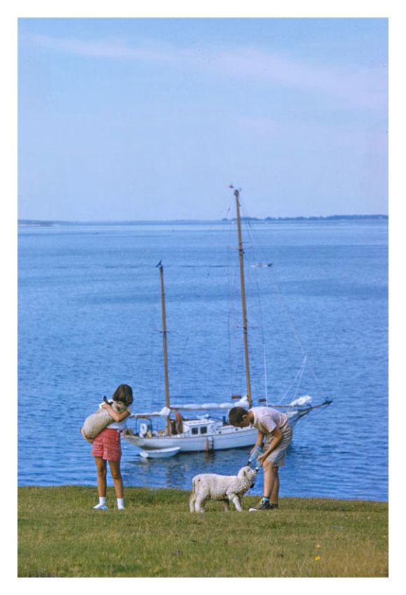 A Summer Yachting Trip By Toni Frissell Archival Pigment Print Framed In White photo furniture