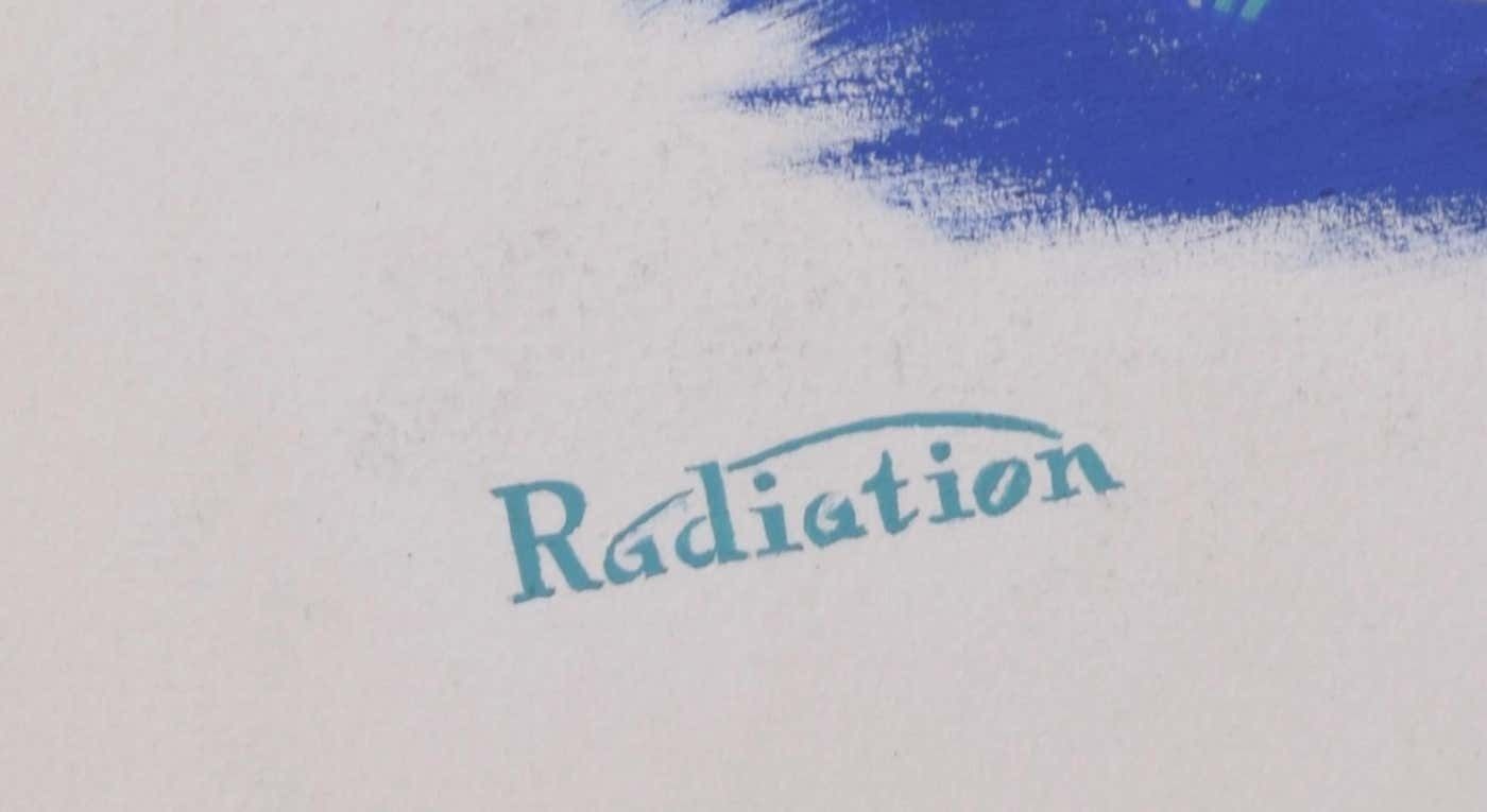 Continental Cookery Radiation Cooker Brochure Design By Brownbridge photo 225.0