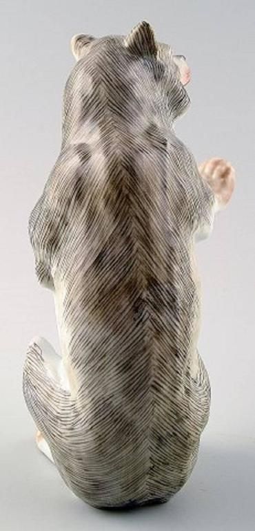 Antique Porcelain Figurine Of Standing Bear, Meissen Style, Late 19th Century photo Art