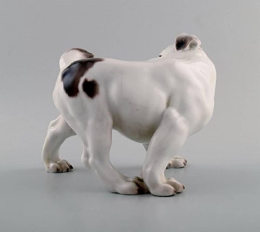 Bing & Grondahl Dog B&G, Number 1992, English Bulldog photo for sale