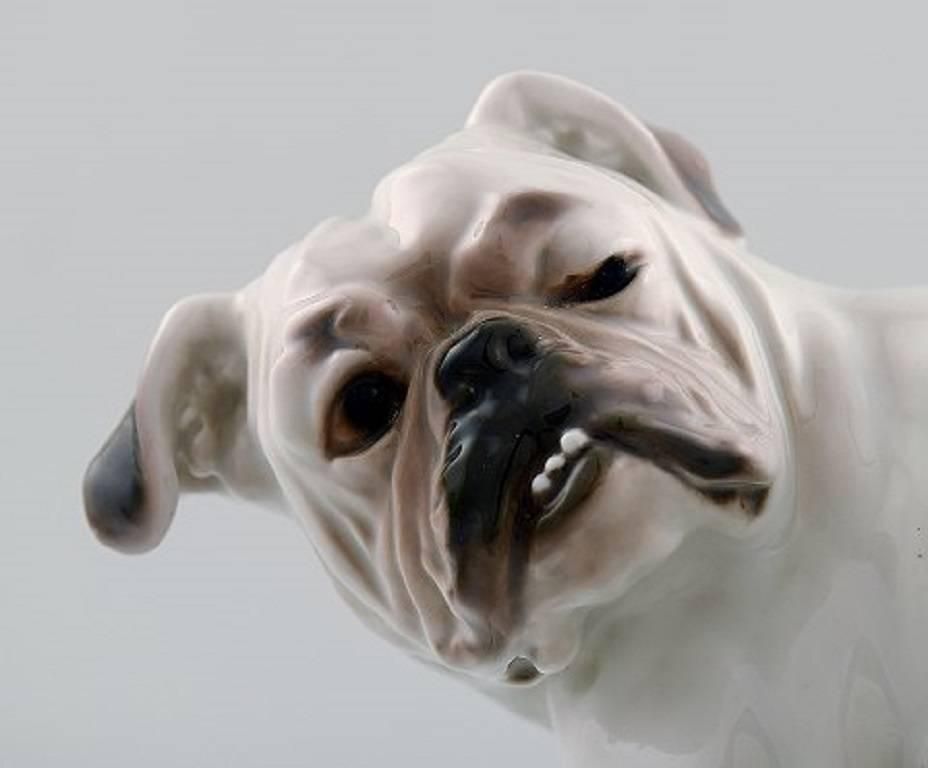Bing & Grondahl Dog B&G, Number 1992, English Bulldog photo Art