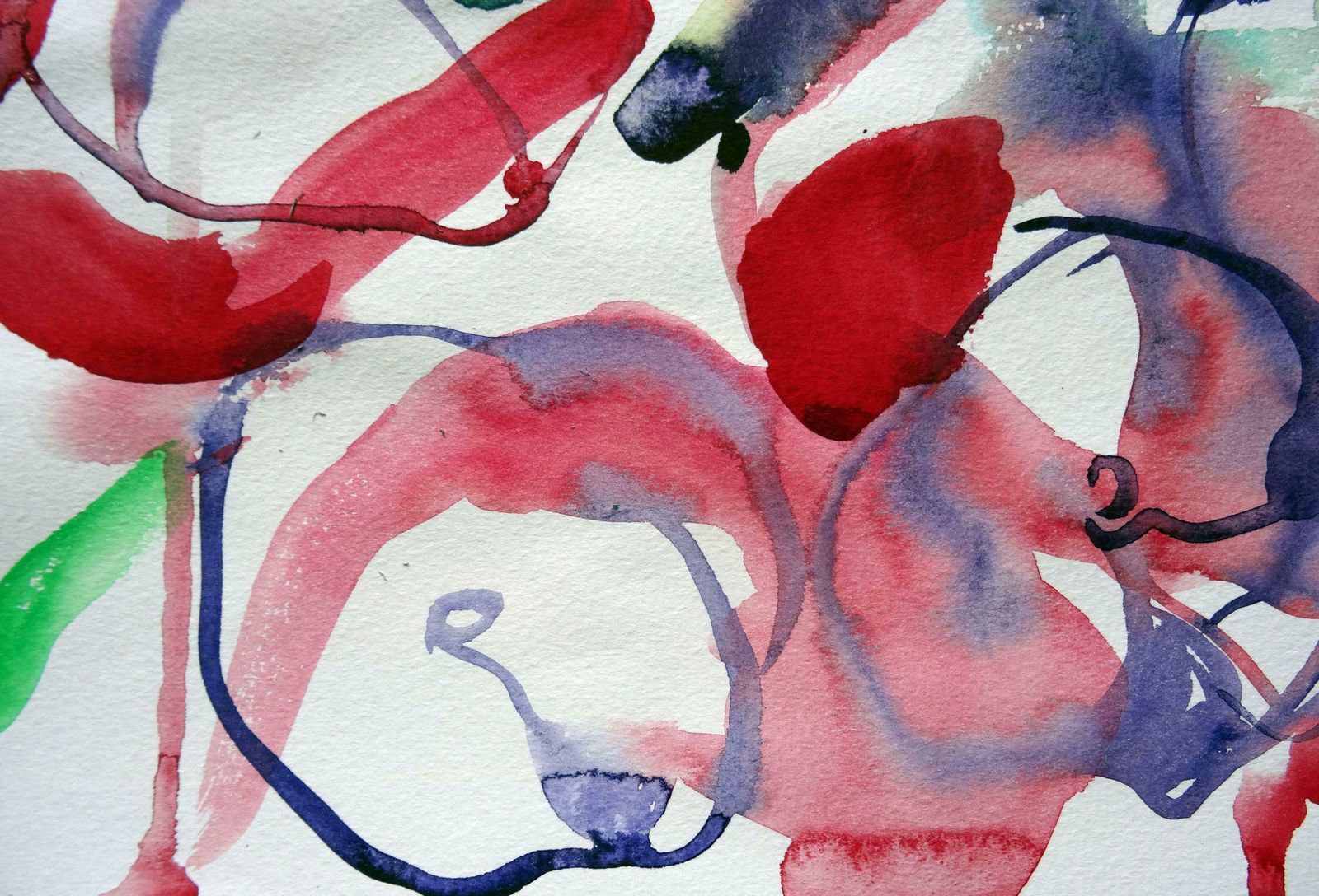 Ingrida Irbe Pink Flowers At Luxembourg Garden Paris. 2010. Watercolour On Paper photo Art