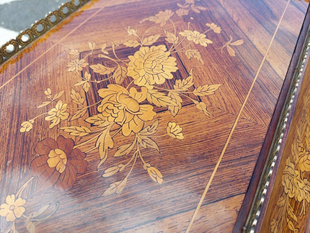 Victorian Kingwood And Gilt Metal Mounted Planter photo for sale