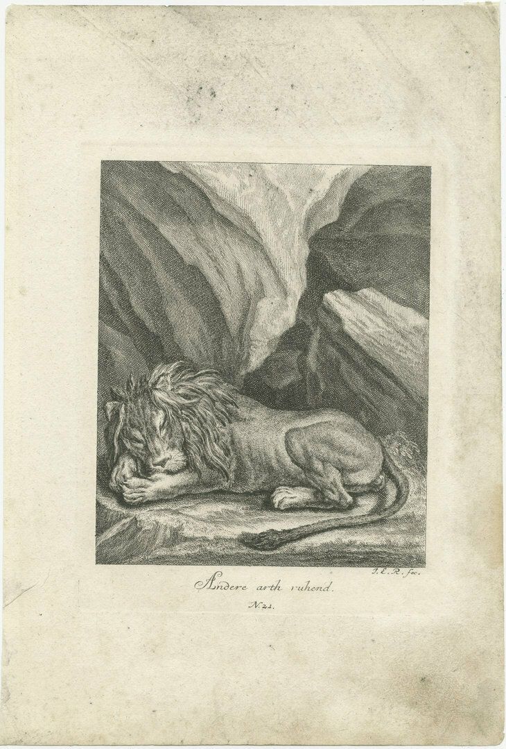 Antique Print Of A Sleeping Lion In A Mountainous Landscape