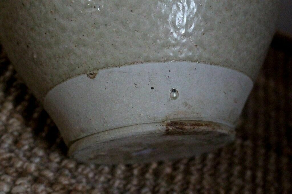 photo for sale 19thc Cream Antique French Hand Turned Clay Stoneware 2 Handle Oil Pot