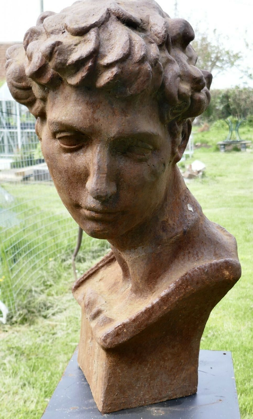 Weathered Cast Iron Statue Of Michelangelo's David photo furniture
