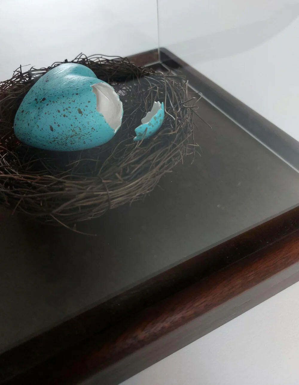 This Bird Has Flown  Hand Painted Ceramic Shell Heart With Natural Material Nest And Oak Base photo Home Decor