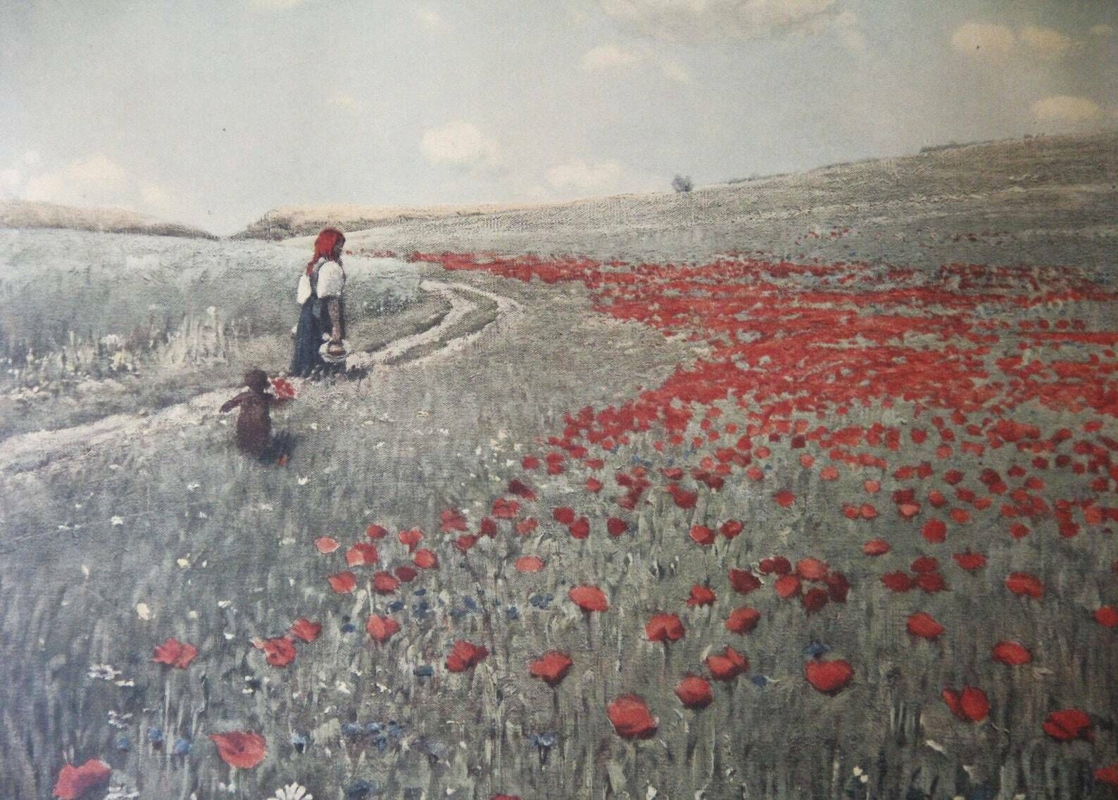 Poppies In The Field, 1970s, Vintage photo buy