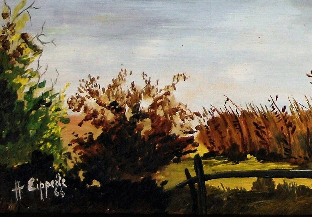 Lake In The Black Forest Mountains Original Fine Oil Painting From The Middle Of The 20th Century photo 240.0