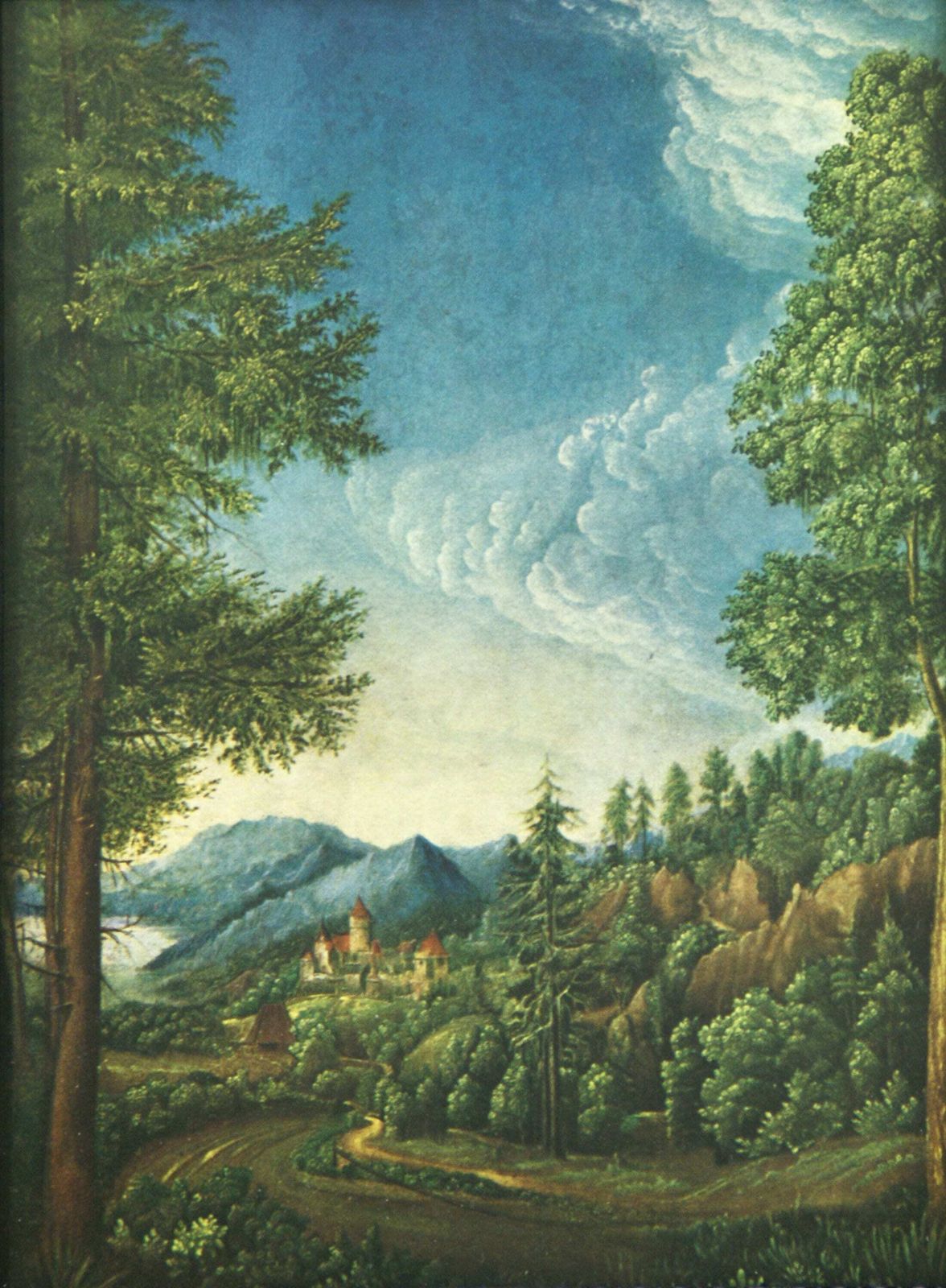 Danube Landscape Near Regensburg By Albrecht Altdorfer photo Art