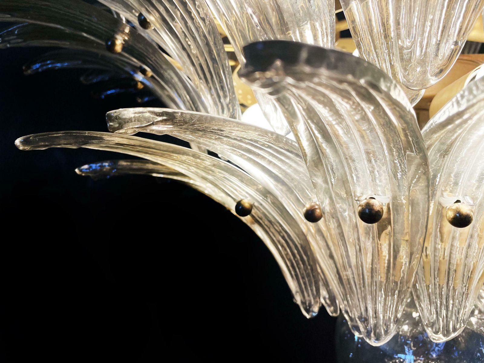 photo vinterior Beautiful Italian Leaves Chandeliers Murano