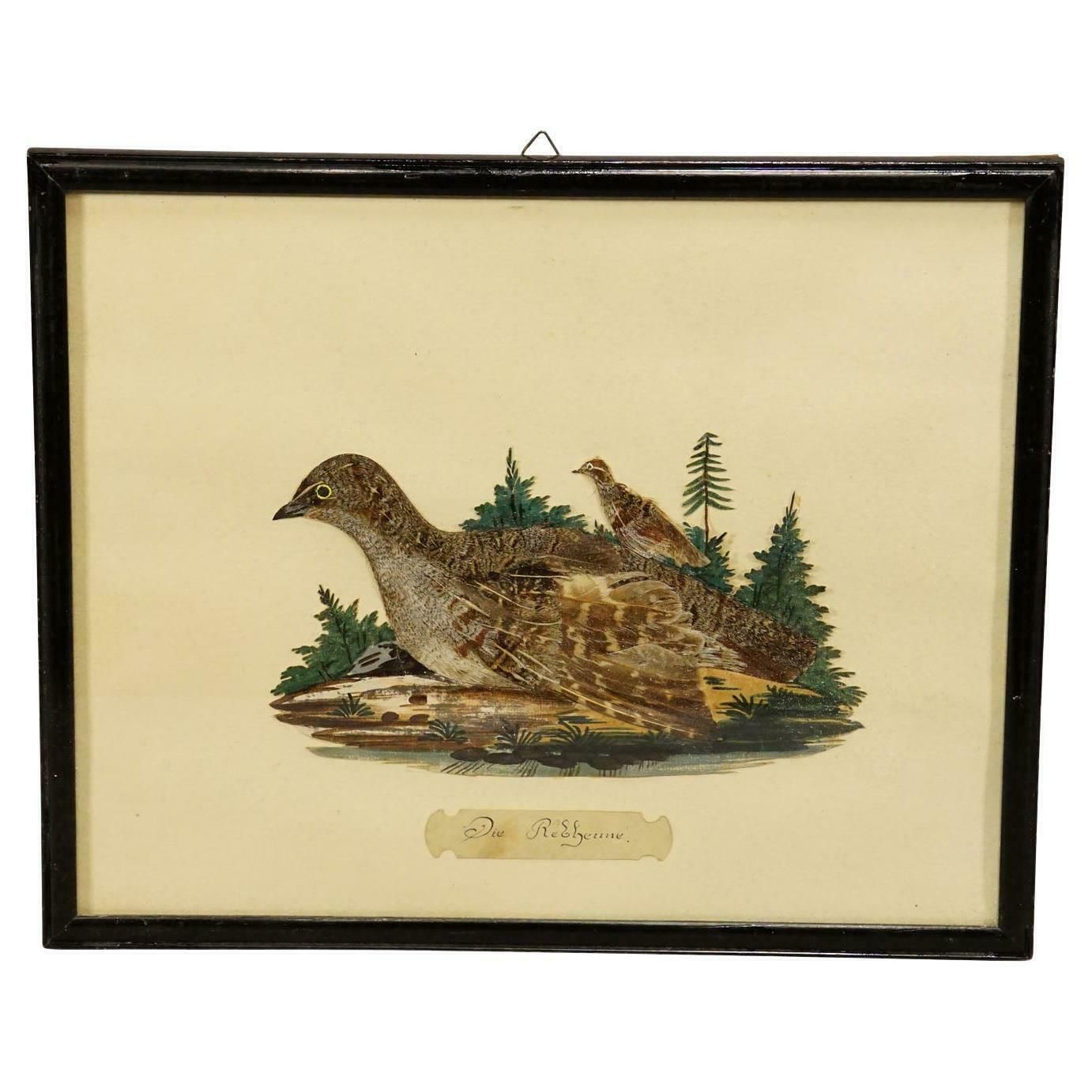 Victorian Taxidermy Diorama With Partridge, Germany Ca. 1900 photo vintage