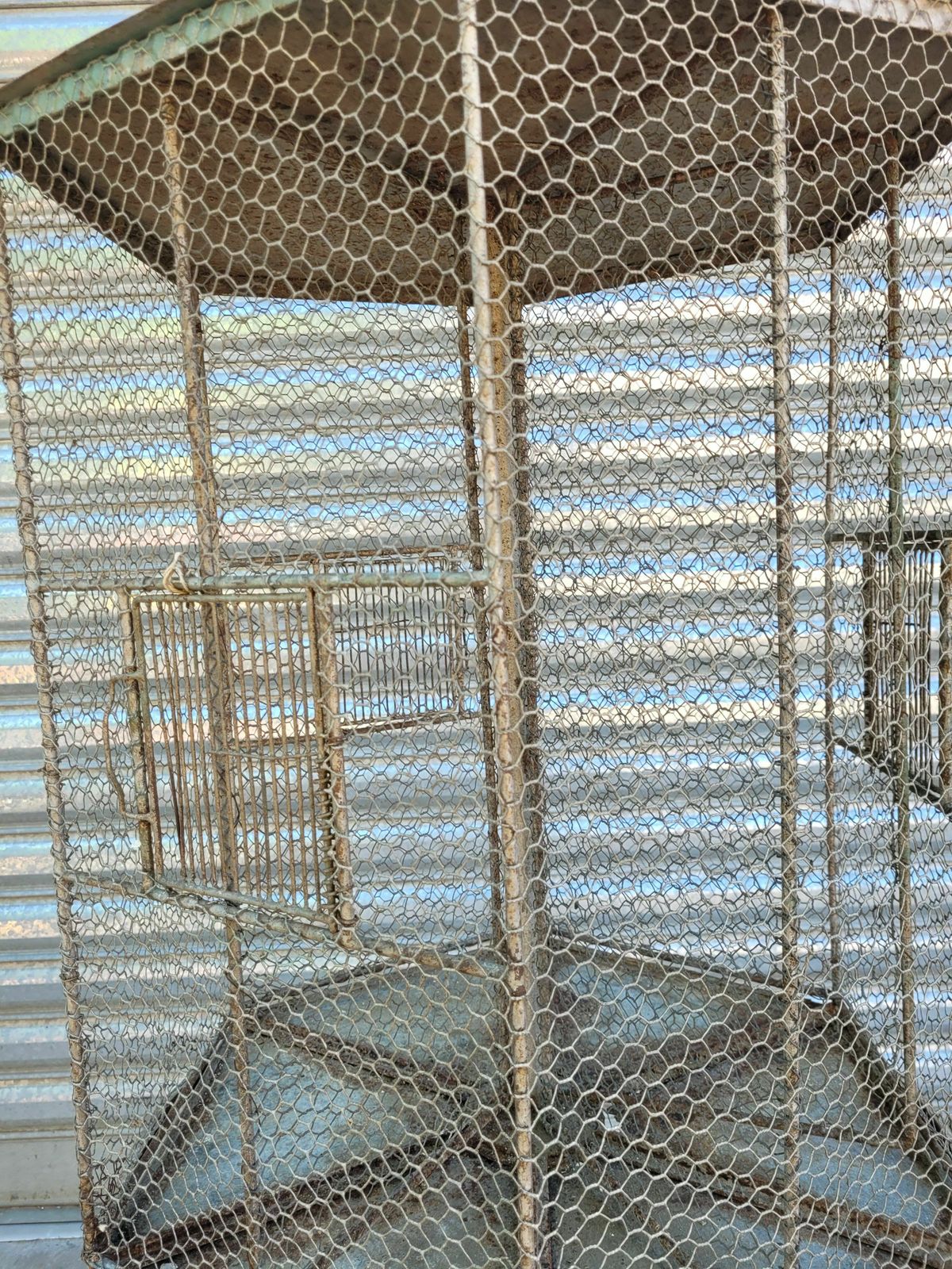 Birdcage On Table photo for sale