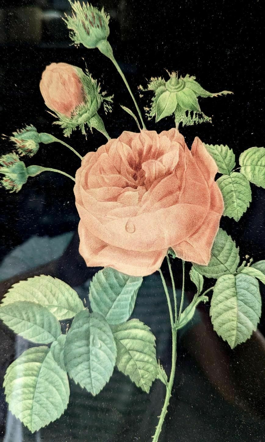 Still Life With Rose In Chromo On Black Background photo furniture