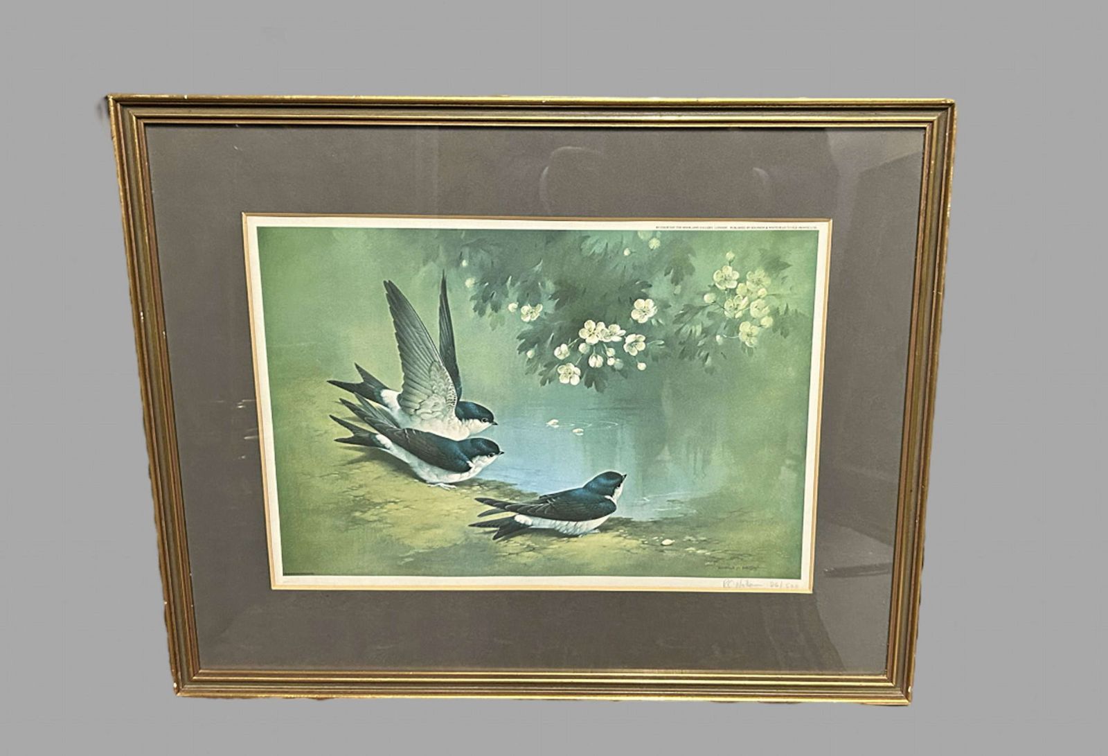 Raymond Watson Pair Of Signed Limited Edition Bird Prints photo furniture
