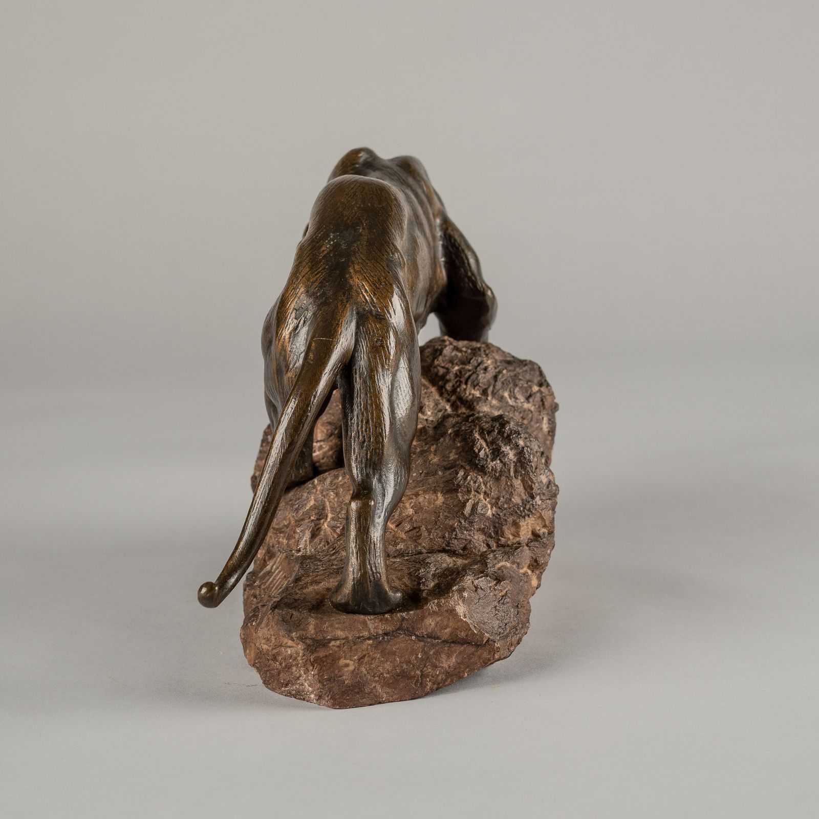 Large French Bronze Sculpture Of A Tiger Set On A Carved Marble Base Signed Andrey photo buy