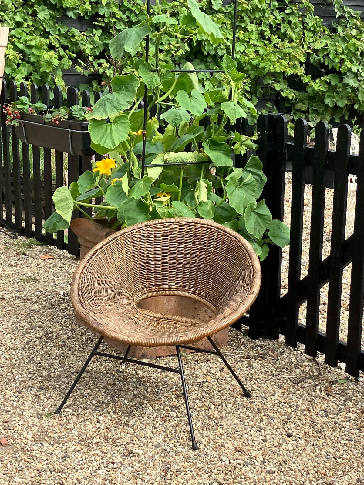 Hollywood Regency Rattan Armchair By Janine Abraham And Dirk Jan Rol photo for sale