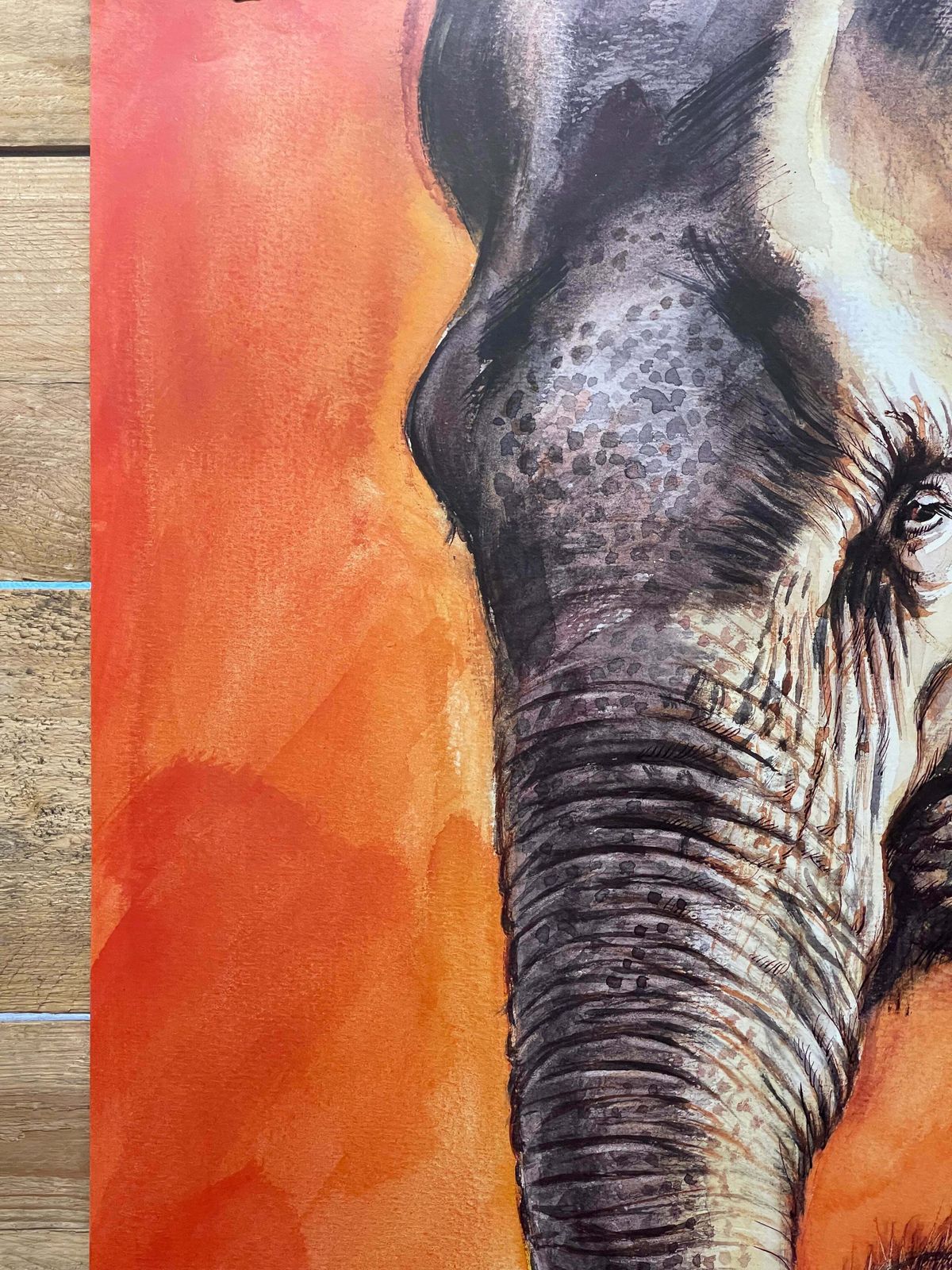 Rare Tierpark Berlin Elephants Original Zoo Poster By Reiner Zieger photo Art
