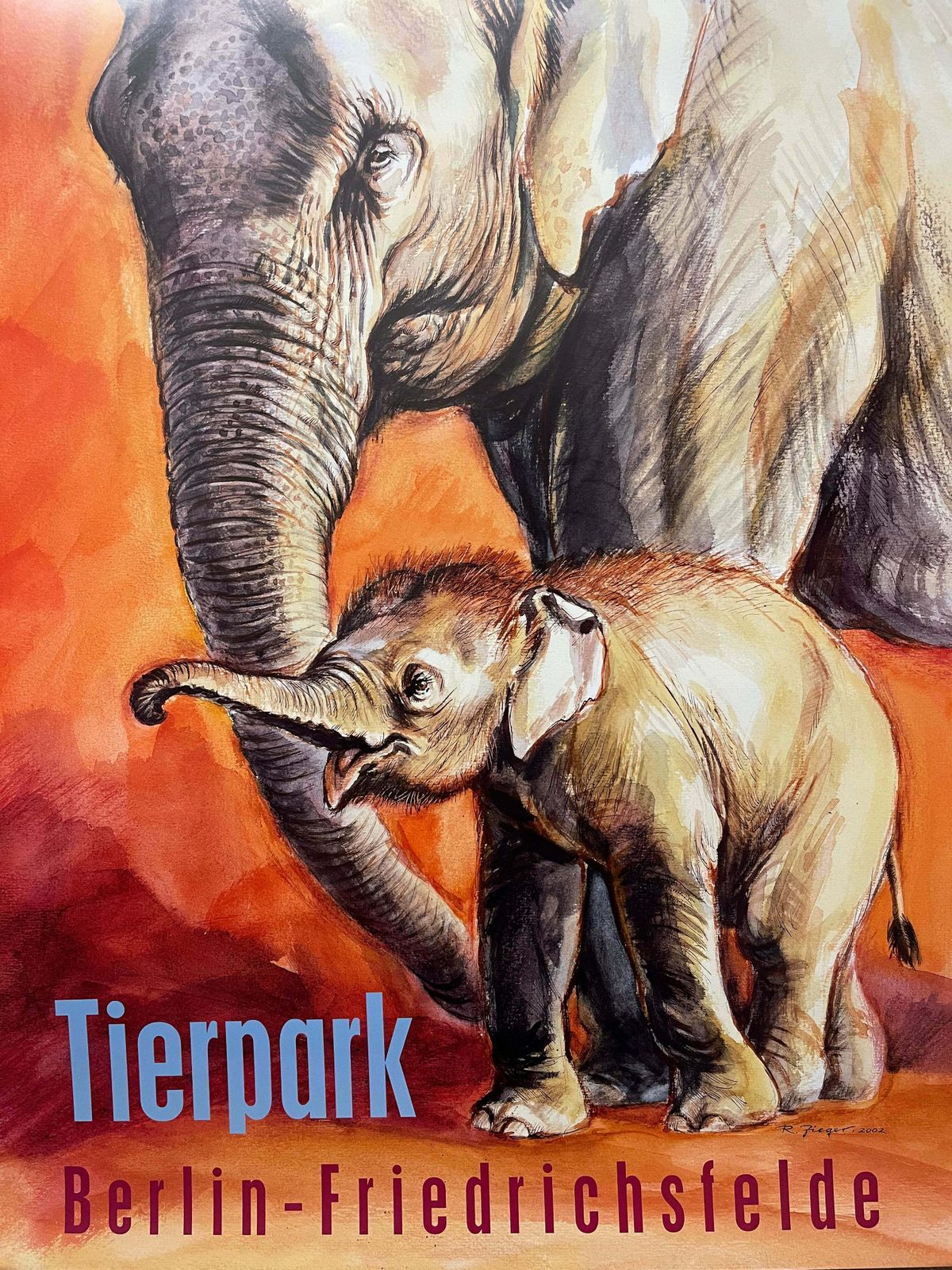 photo for sale Rare Tierpark Berlin Elephants Original Zoo Poster By Reiner Zieger