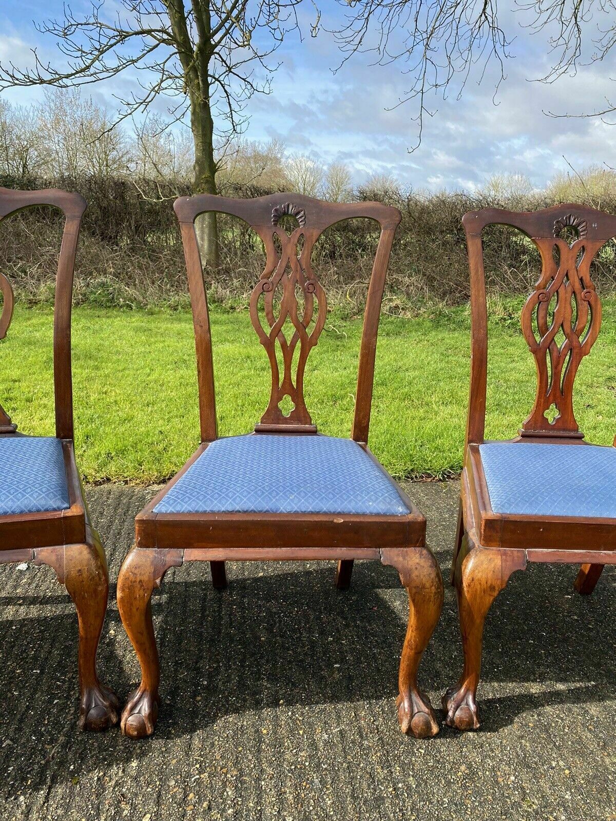 Set Of Six Large Antique Chippendale Style Mahogany Dining Chairs Inc 2 Carvers photo vinterior