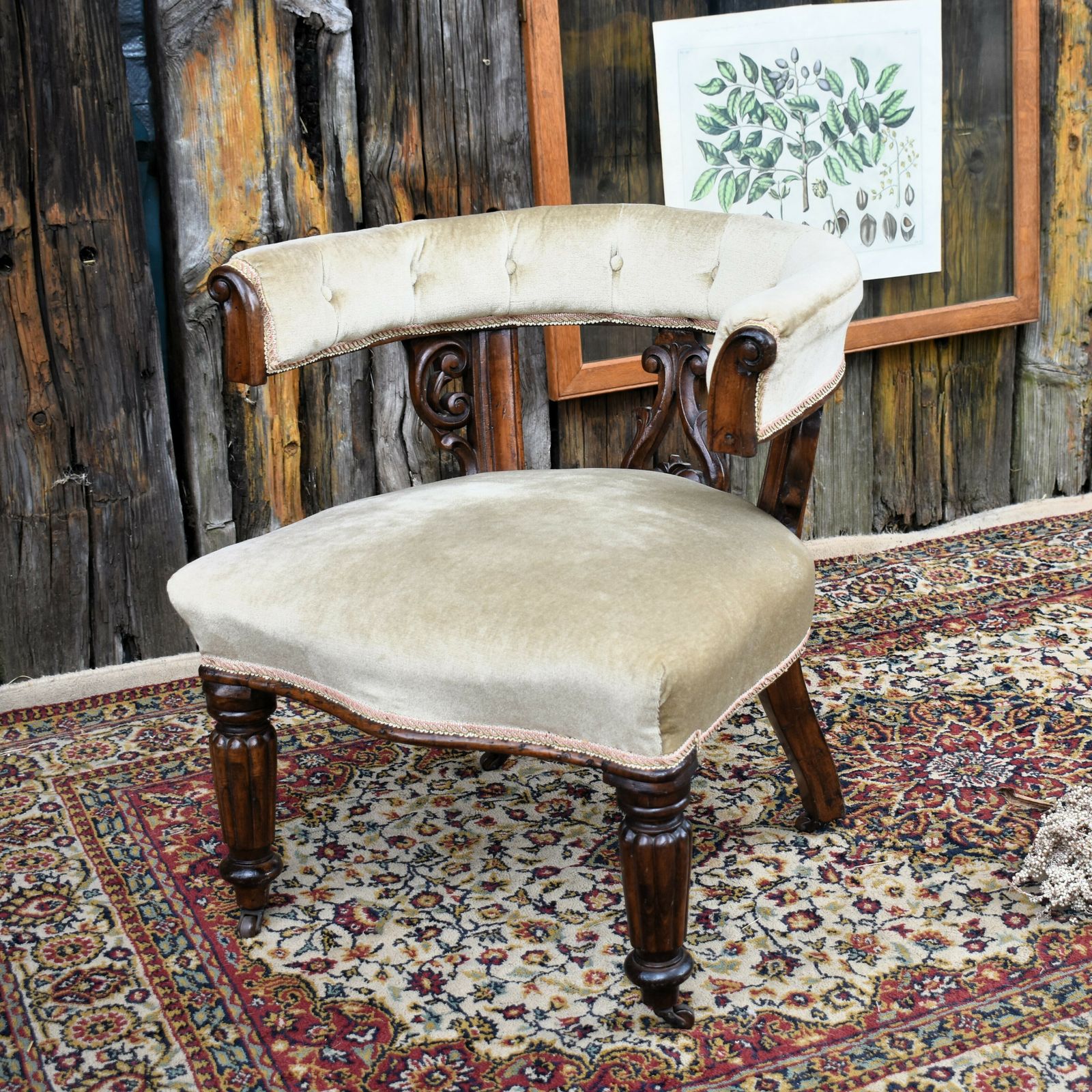 Antique Victorian Mahogany Cockfighting Horseshoe Library Statement Arm Chair photo for sale