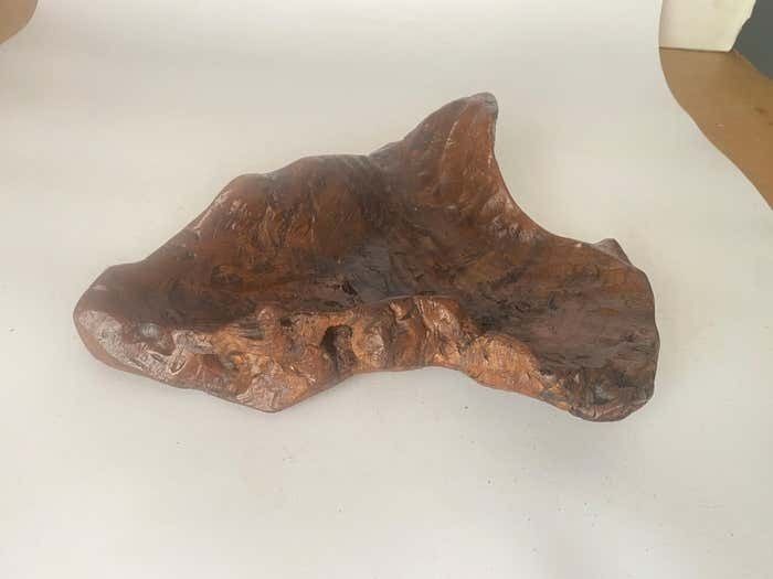 Brutalist Root Wood Vide Poche Or Bowl 1960 France With Old Patina Riviera photo buy