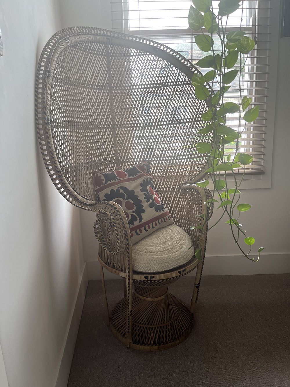 Pristine Peacock Wicker Armchairs photo furniture