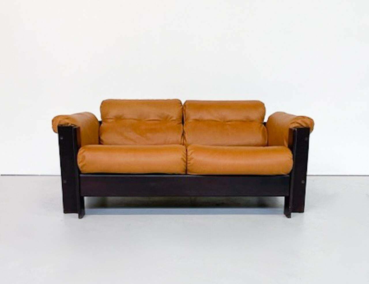 Mid Century Modern "Zelda" Sofa By Sergio Asti For Poltronova, 1960s photo buy
