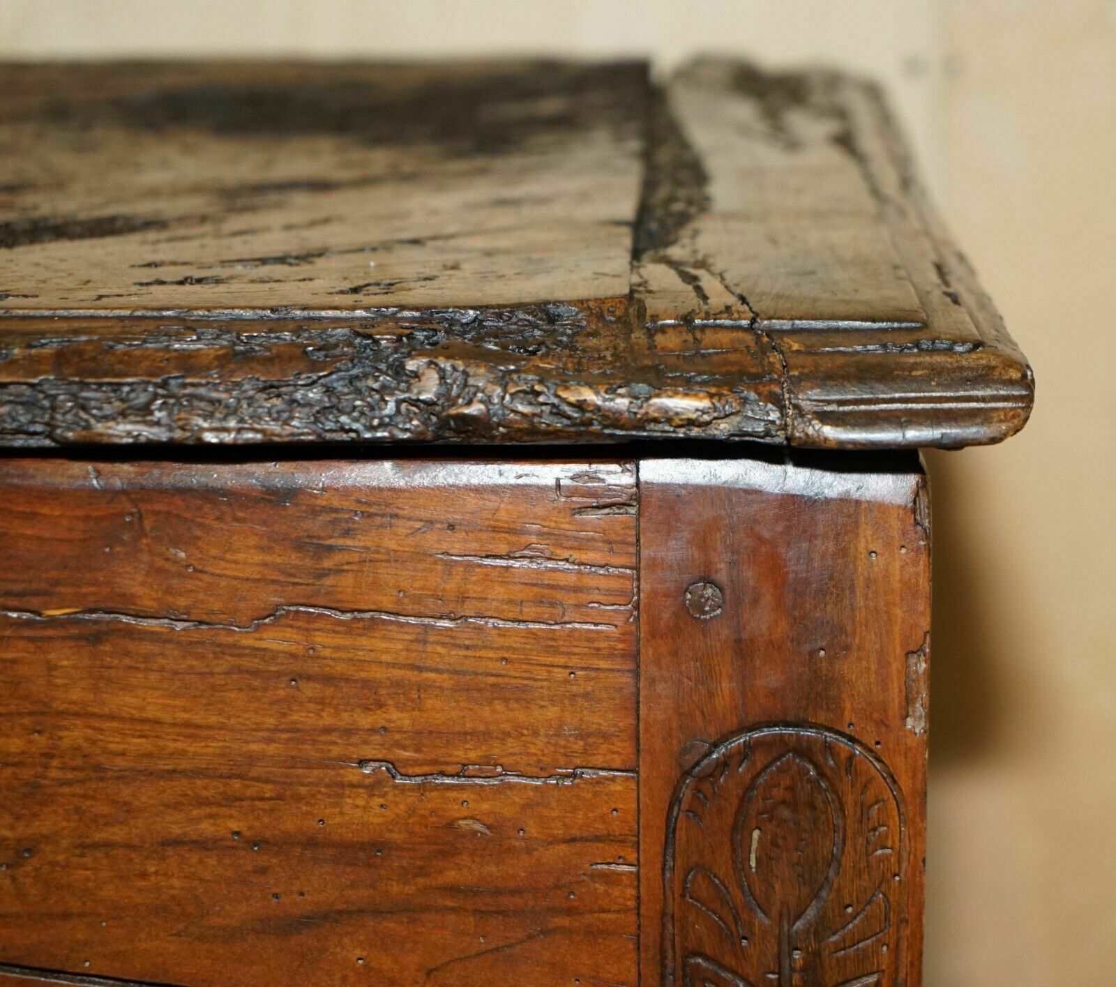 2950.0 Antique 18th Century Six Plank Heavily Burred Chestnut Wood Trunk Chest photo