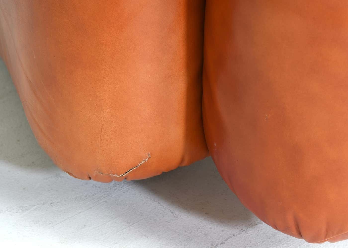 photo vintage Mario Marenco Lounge Armchairs Model Marius&Marius By Arflex, Italy – Circa 1970