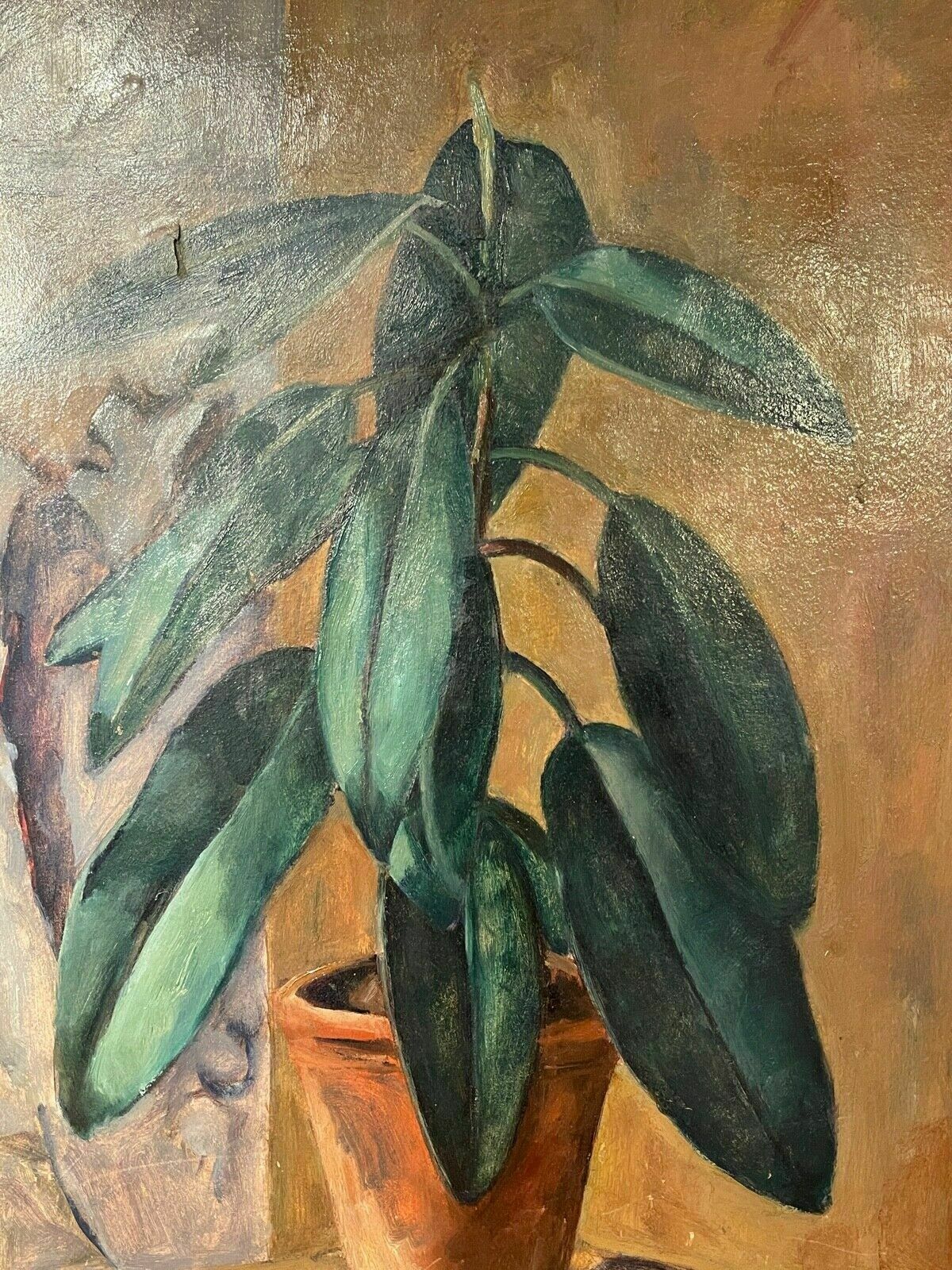 Oil Painting On Cardboard, Planta, Giulio Benzi photo for sale