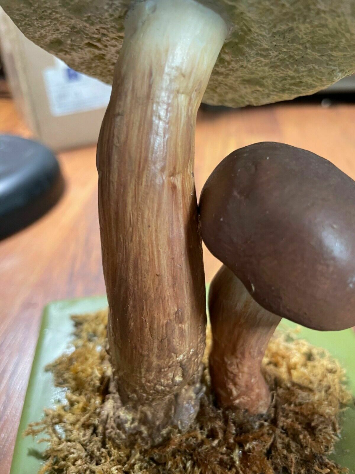 Vintage Somso Bay Bolete Mushroom Educational School Model Fungus Boletus Badius photo vintage