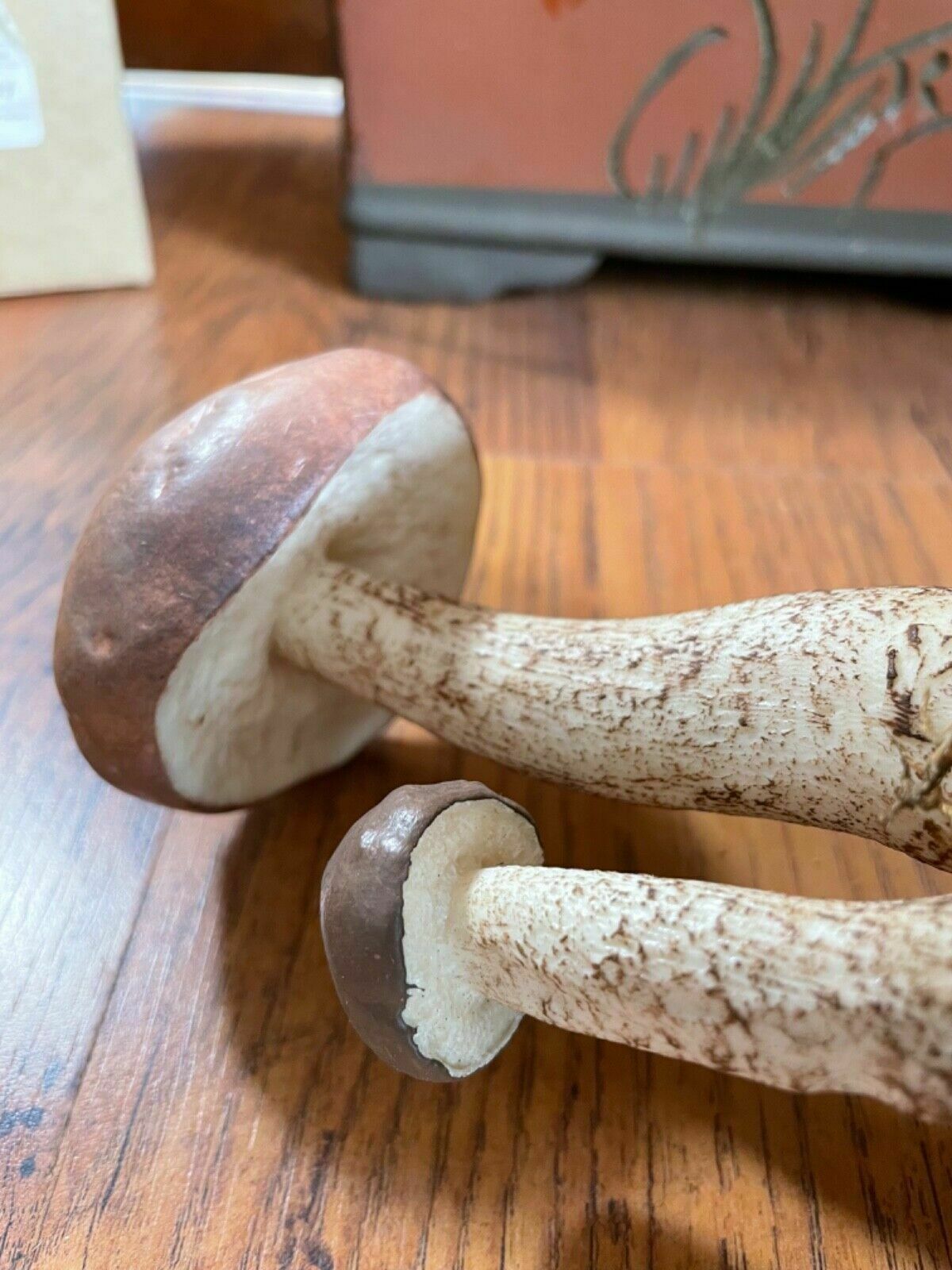 Vintage Somso White Birch Bolete Mushroom Educational Model Fungus Toadstool photo vintage