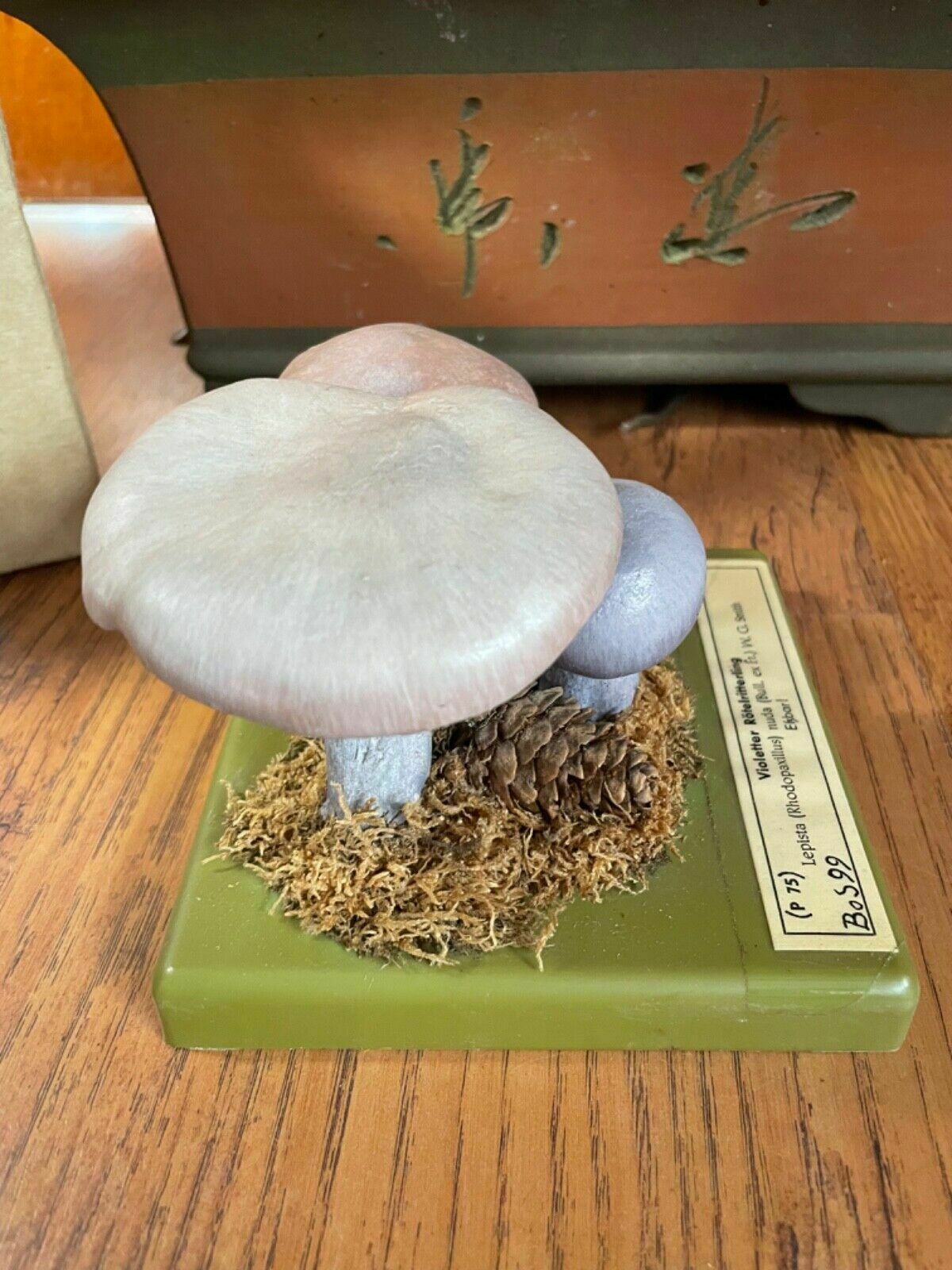 Vintage Somso Panther Cap Mushroom Educational School Model Fungus Amanita photo for sale