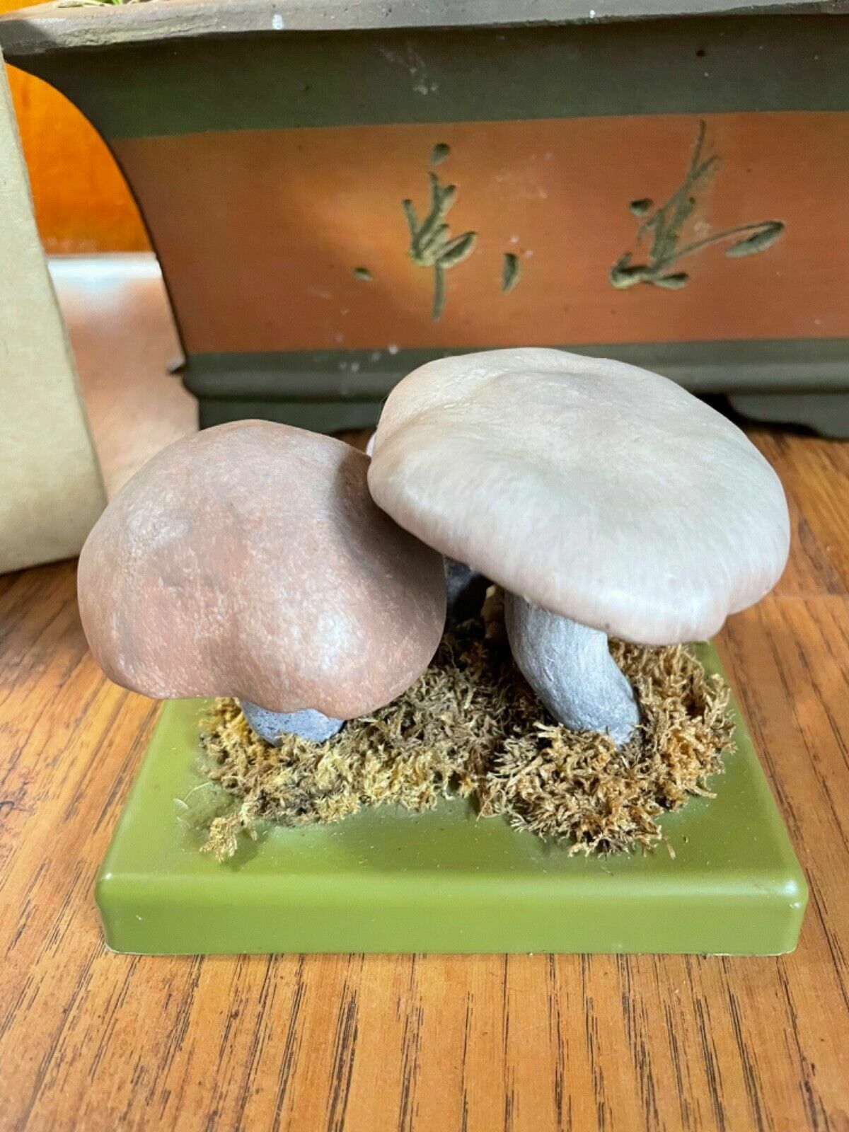 Vintage Somso Panther Cap Mushroom Educational School Model Fungus Amanita photo Home Decor