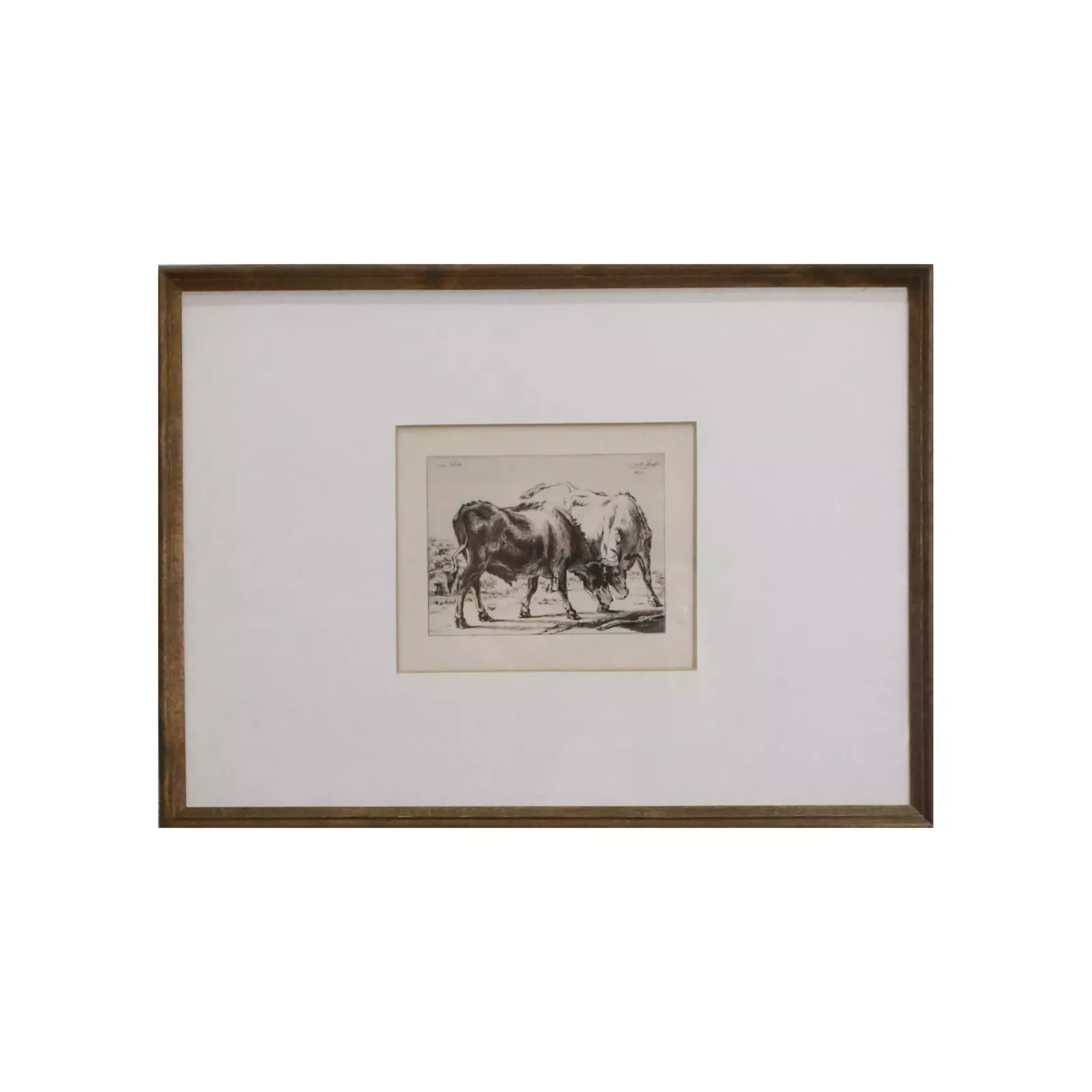Engraving "Bulls", 1800s, Antique