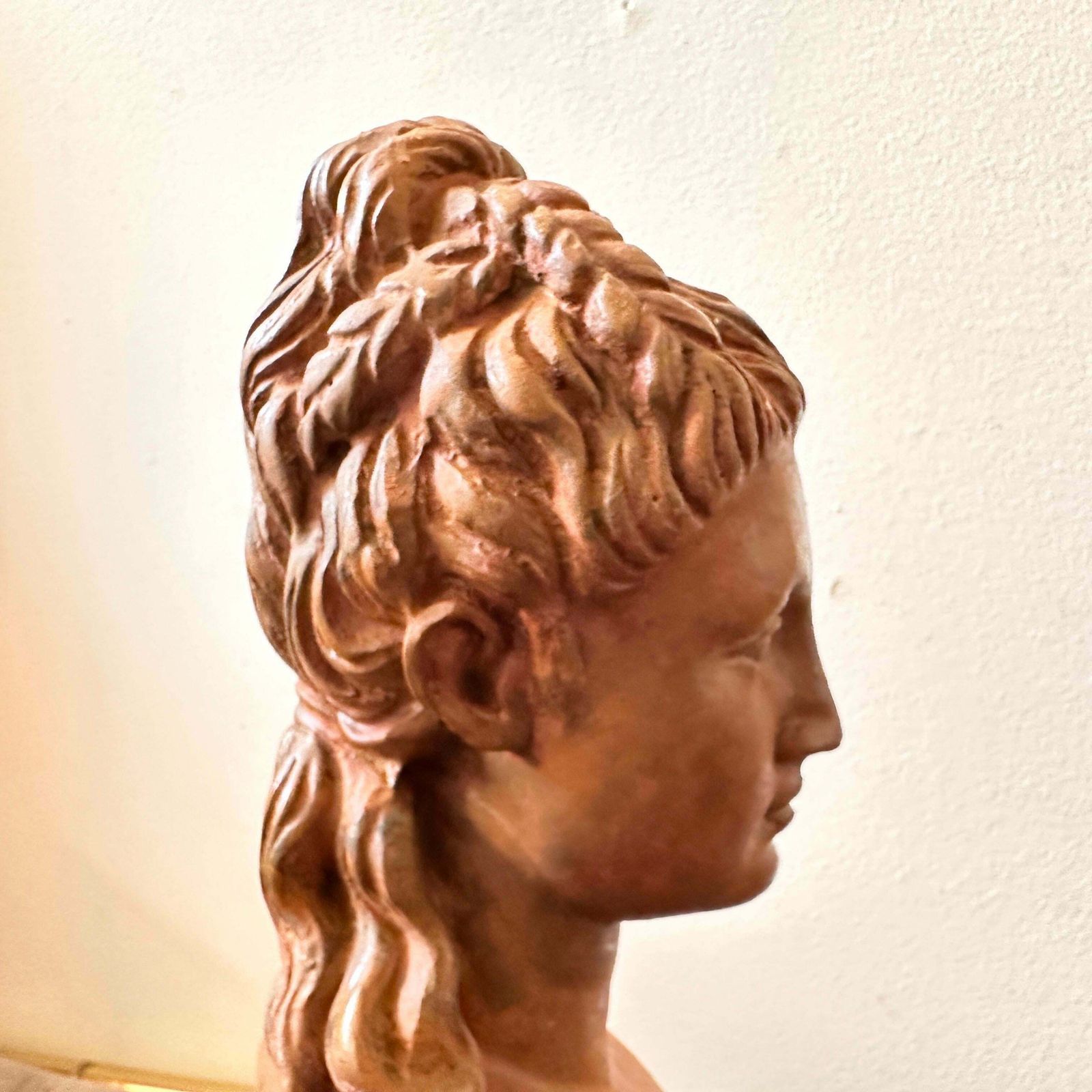 1900s Neoclassical Red Brick Patina Metal Italian Bust Of A Woman photo Home Decor