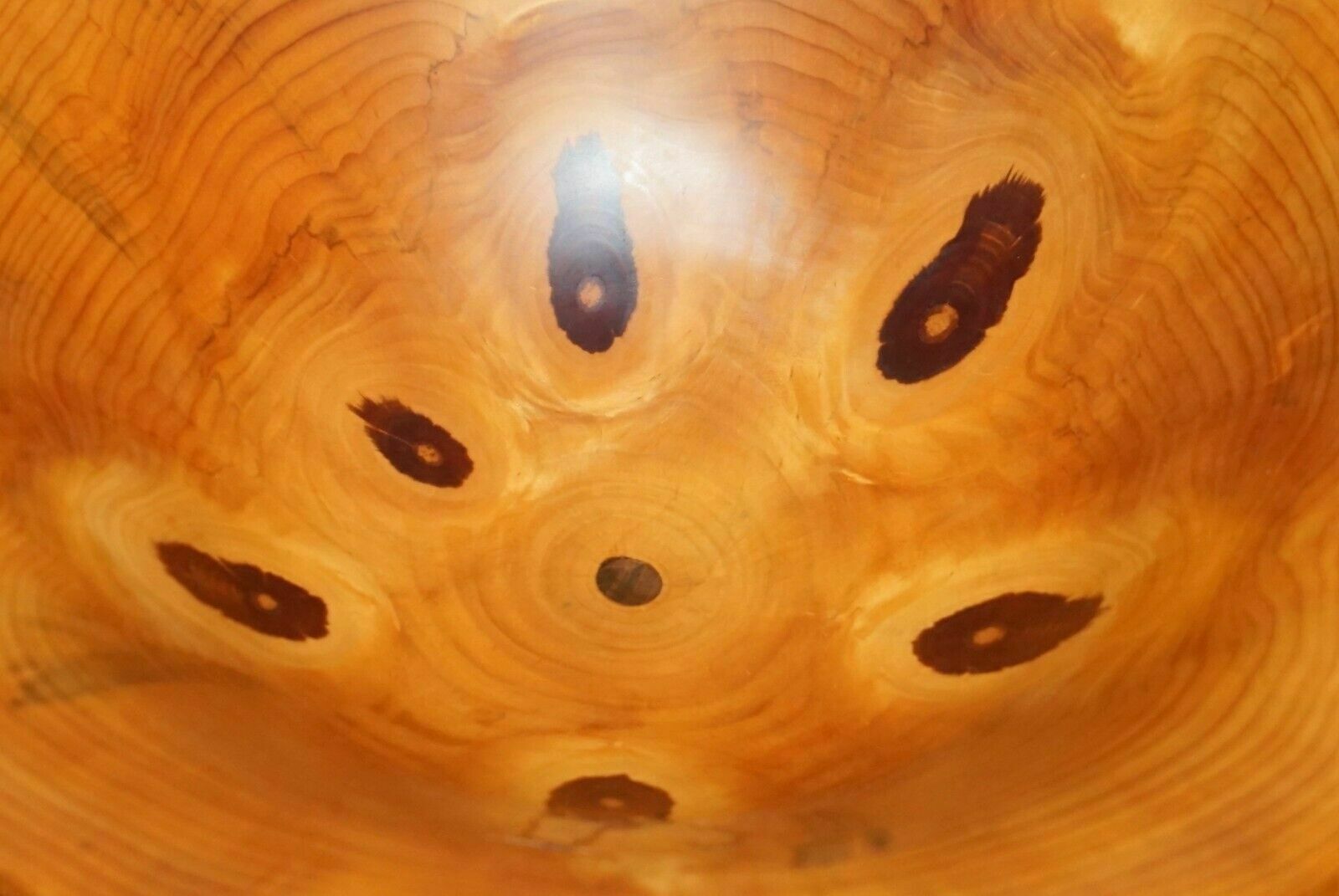Super Rare Large Monkey Puzzle Wood Fruit Bowl By Gregory Jervis Moreton photo vintage