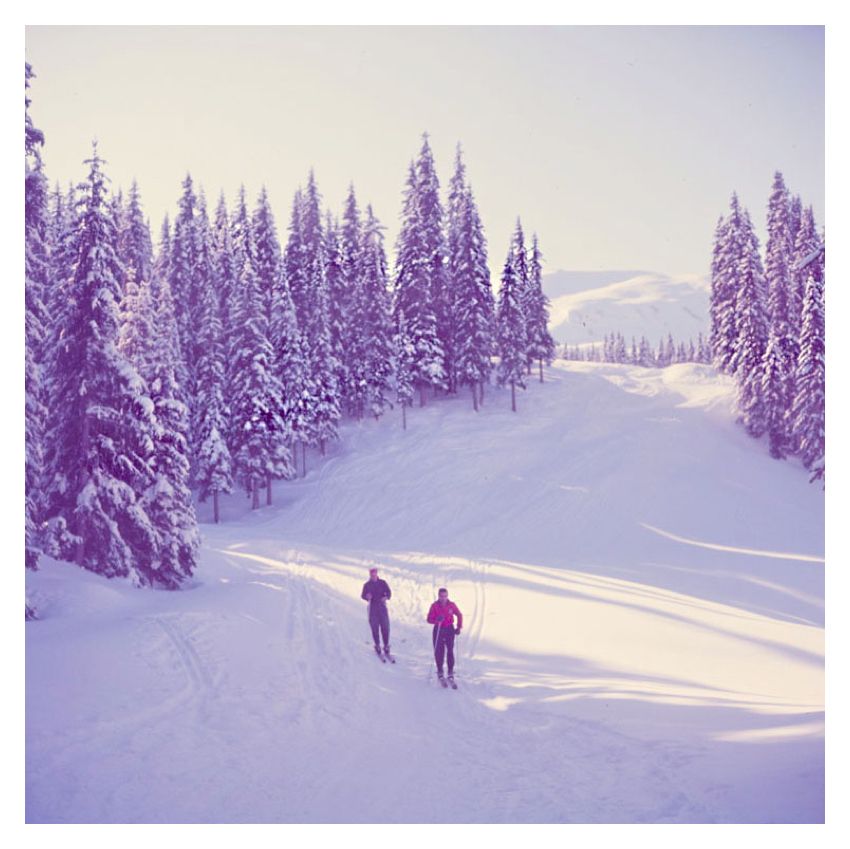 Skiers In The Woods By Toni Frissell Archival Pigment Print Oversize Framed In White photo furniture