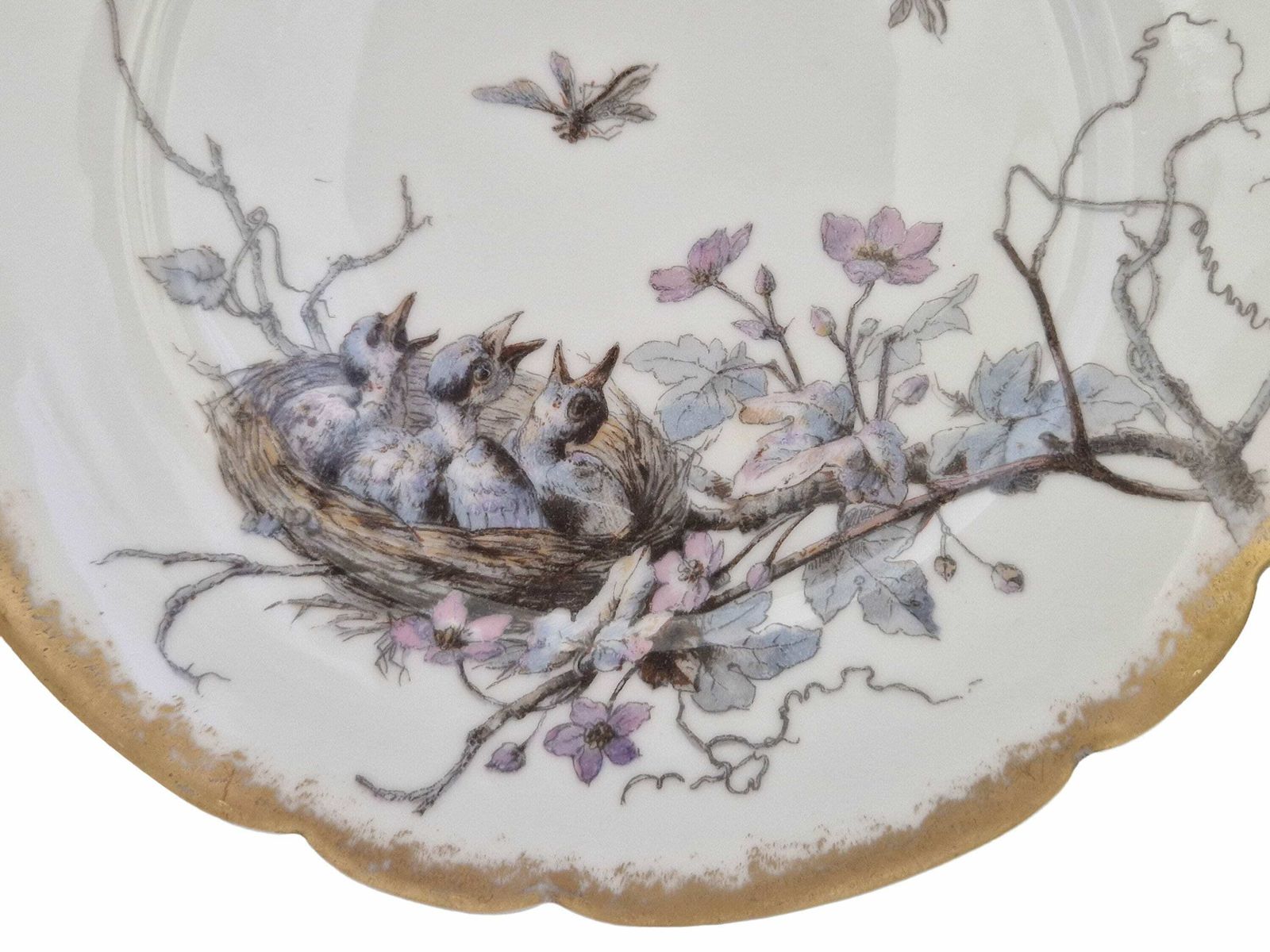 Limoges Porcelain Wall Plate With Hand Painted Birds And Insects By Adolphe Hache & Cie, French Cabinet Plate photo buy