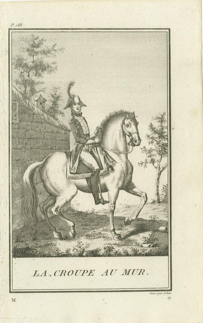 Set Of 5 Antique Horse Riding Prints, Le Piaffer, La Galopade, La Courbette photo Art