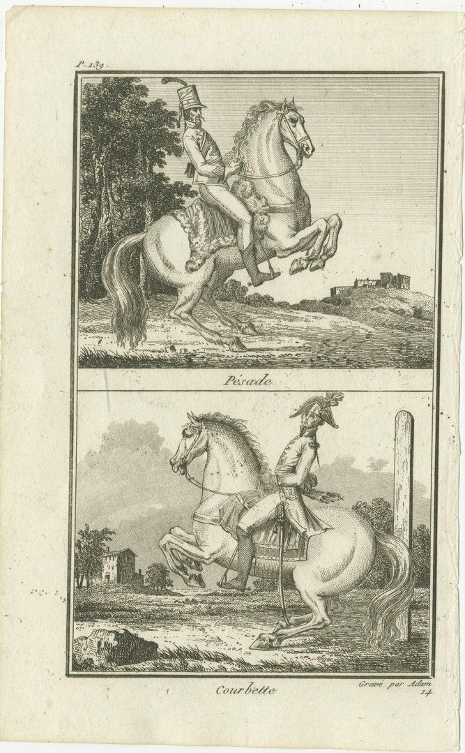 Set Of 6 Antique Horse Riding Prints, Capriole, Croupade, Le Trot, Courbette photo 578.0