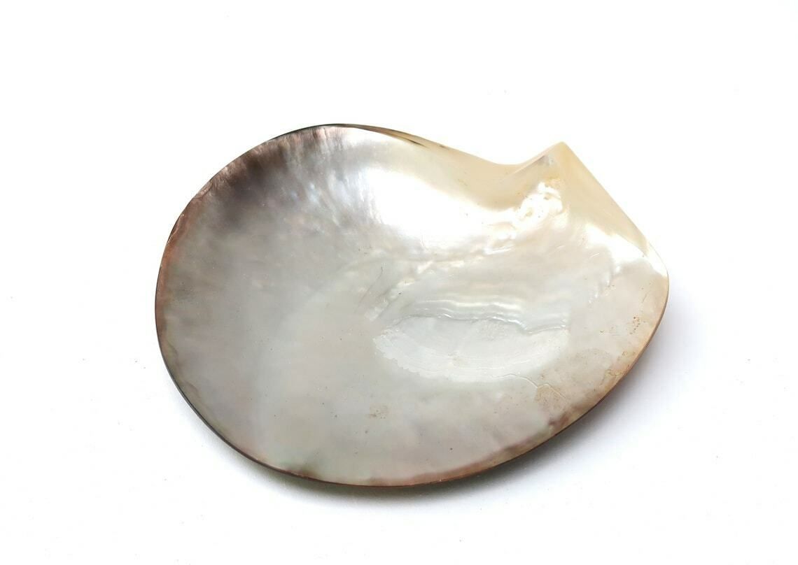 Ringenschaaltje, Gepolijste Parelmoerschelp, Tiki Decoratie, Jaren 1970 / Bohemian Sieradendisplay, Folk, Nautisch, Parelmoer, Tiki, Hawaii, Abalone photo furniture