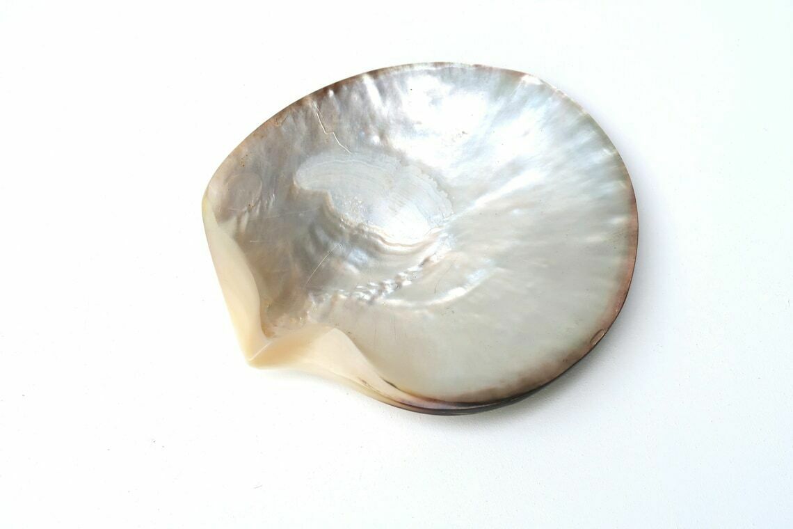 Ring Dish, Polished Pearl Oyster, Tiki Decor, 1970s / Boho Jewelry Display Tray Bohemian Folk Nautical Mother Of Pearl Tiki Hawaii Abalone photo for sale