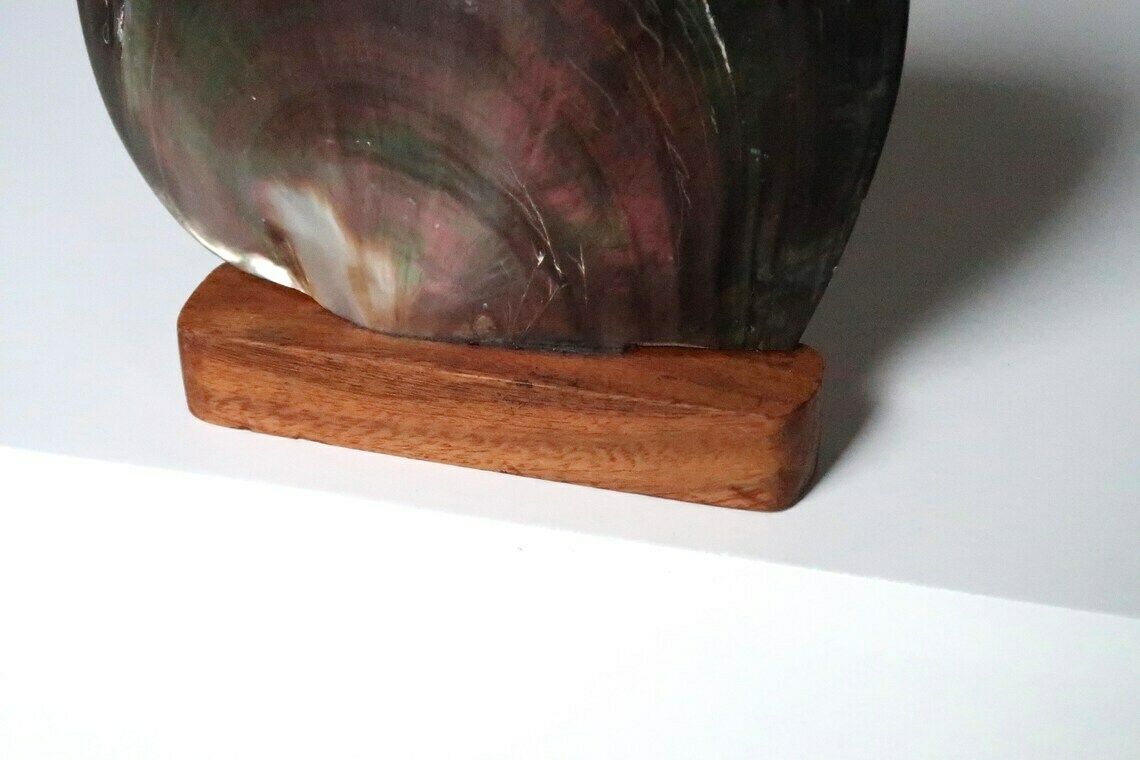 Polished Pearl Oyster, Wooden Base, Cabinet Of Curiosities, 1970s / Boho Jewelry Display Tray Bohemian Folk Nautical Mother Of Pearl photo for sale