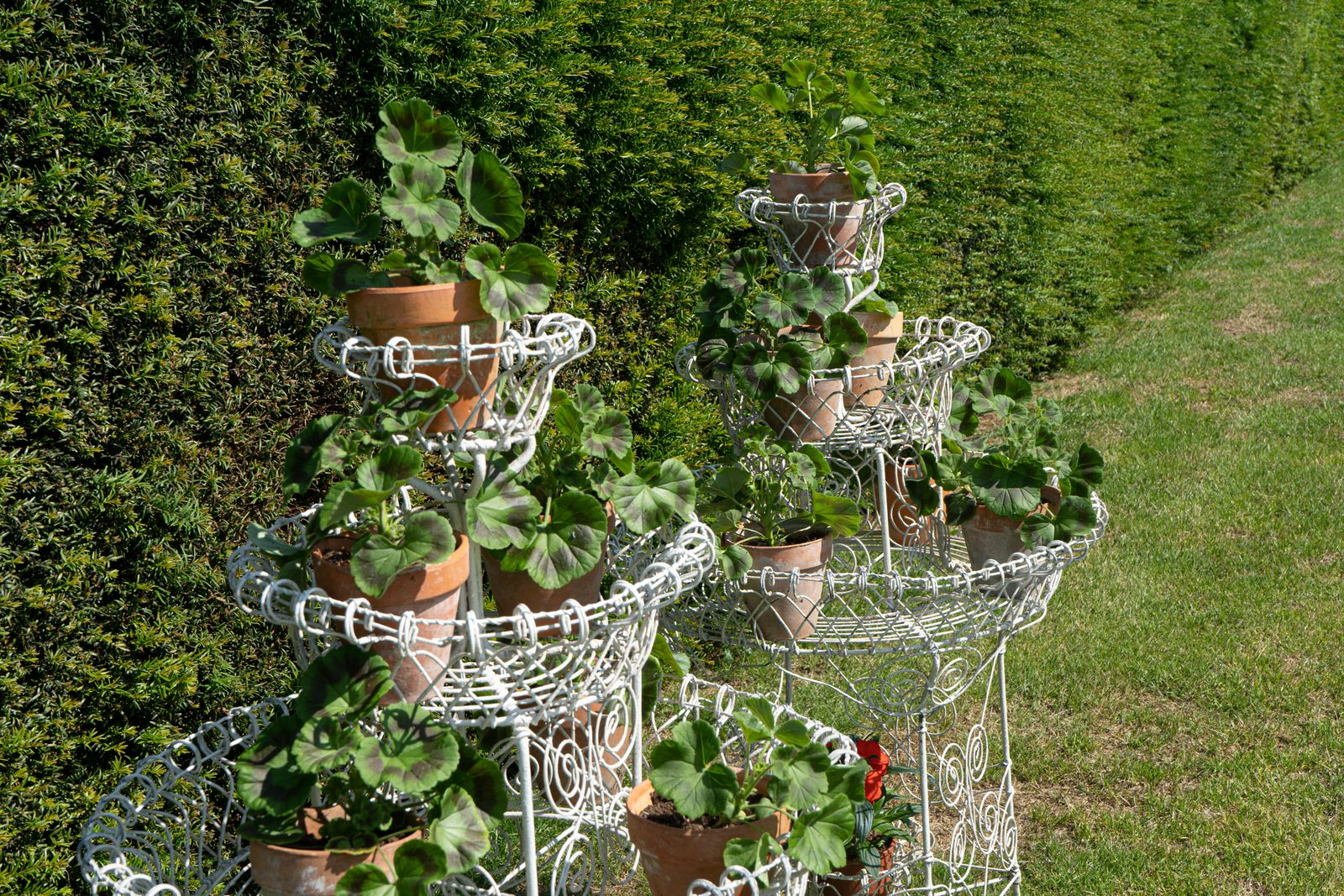 photo furniture A Pair Of Victorian Wirework Garden Planters