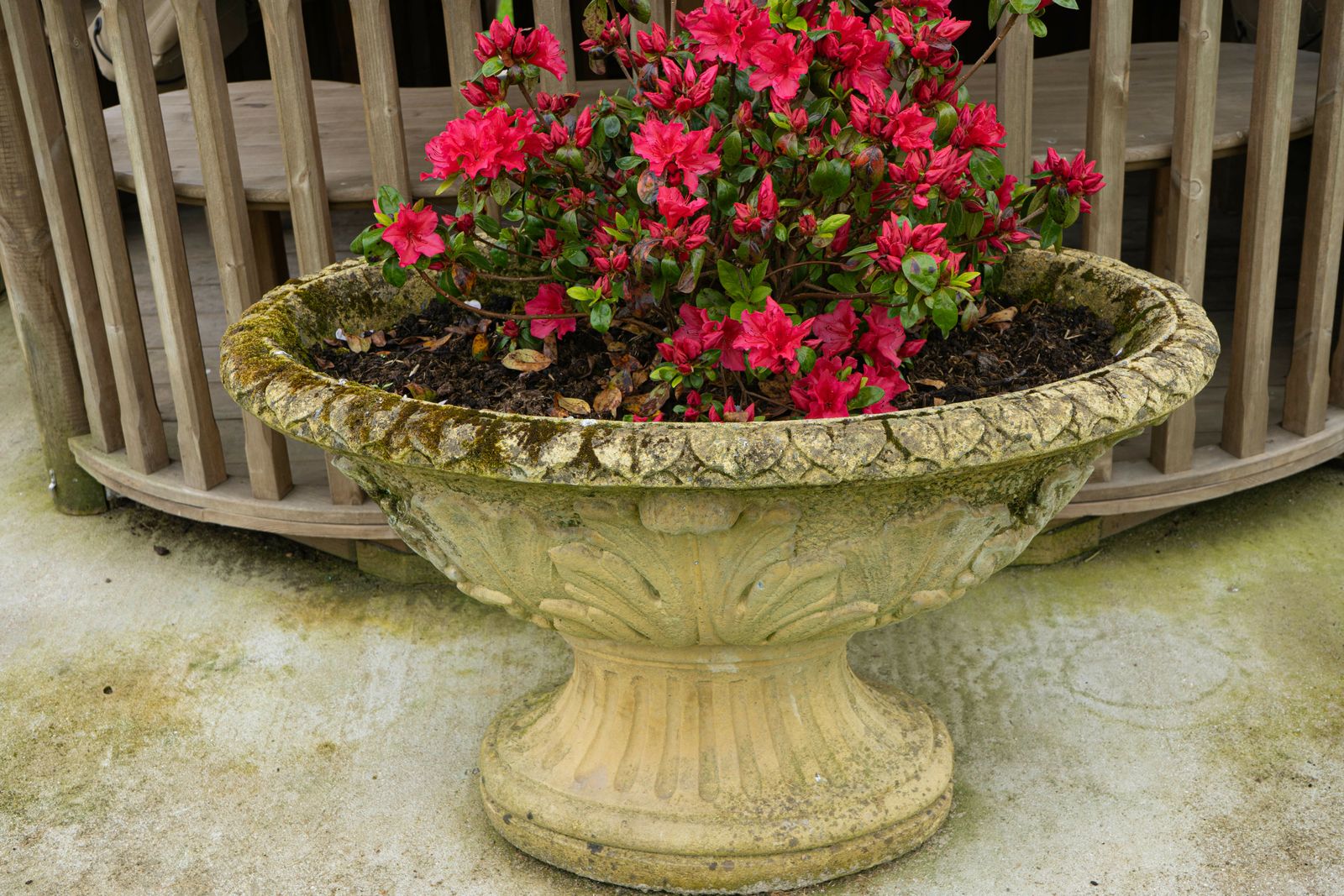 photo for sale Large Oval Ornate Garden Urn