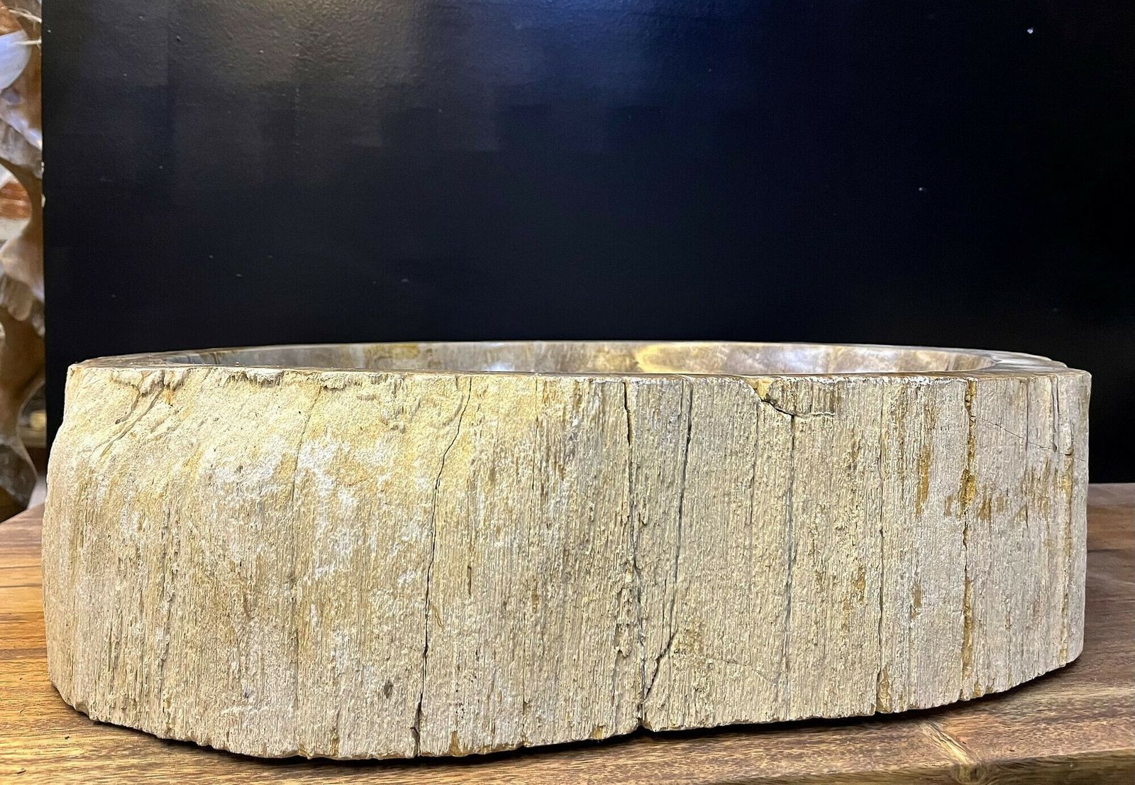 Petrified Wood Sink Grey/ Beige Tones, Organic Modern   Top Quality, Idn 2023 photo 2100.0